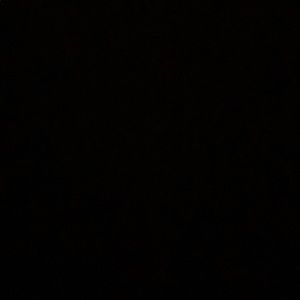 Meet your Posher, Tayshaun